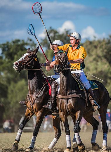 Polocrosse_Horse Voyage